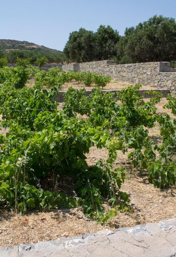 Esperides Stone Houses Sitia  Buitenkant foto